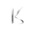 Konvexa